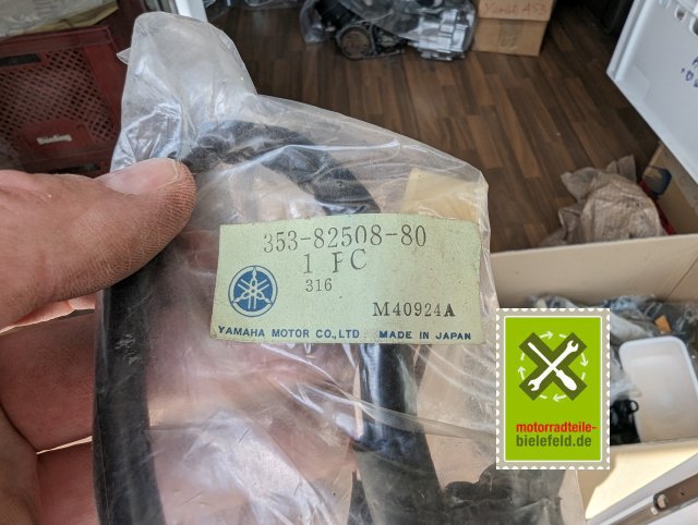 PXL_20240523_112653681